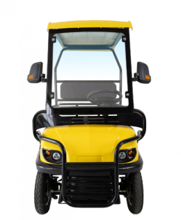 Гольфкар GreenCamel A2 ECO (2 seats 1000W R8) пониженная