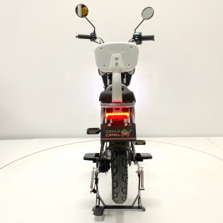 Электровелосипед GreenCamel Транк Монстр (R16FAT 800W 48V15Ah)