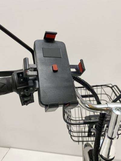 Электровелосипед GreenCamel Транк 20 V8 литой (R20 500W 60V20Ah)