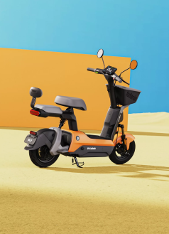 Электроскутер Ninebot V30C