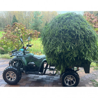 Квадроцикл грузовой GreenCamel Сахара A015 (72V 1500W R10alum) пониженная