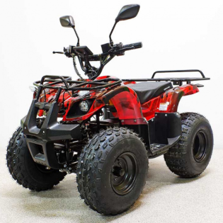 Квадроцикл GreenCamel Атакама T120 (48V 800W R8 Цепь)