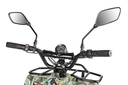 Электроквадроцикл Voltrix Bars 36V1000W